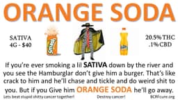 Orange Soda