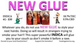 New Glue