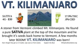 VT. Kilimanjaro