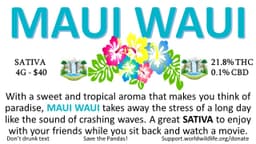 Maui Waui