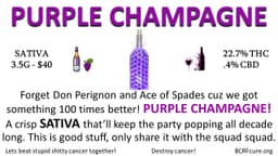 Purple Champagne