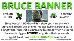 Bruce Banner