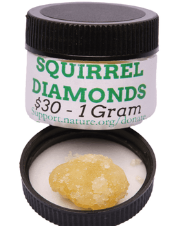 Squirrel Diamonds