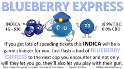 Blueberry Express