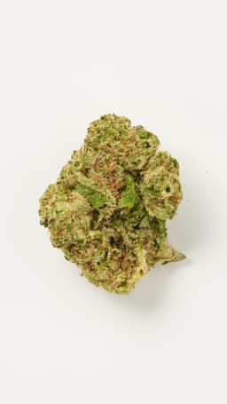 Sour Jack