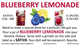 Blueberry Lemonade