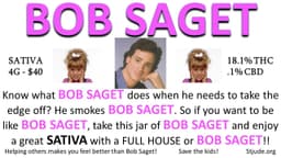 Bob Saget