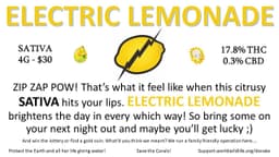 Electric Lemonade