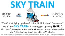 Sky Train