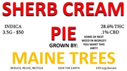 Sherb Cream Pie