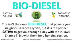 Bio-Diesel