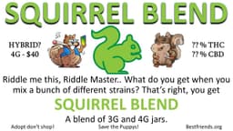 Squirrel Blend