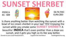 Sunset Sherbert